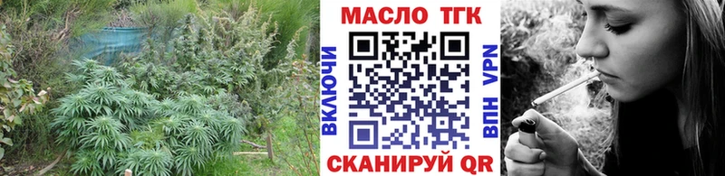 Дистиллят ТГК концентрат Лаишево