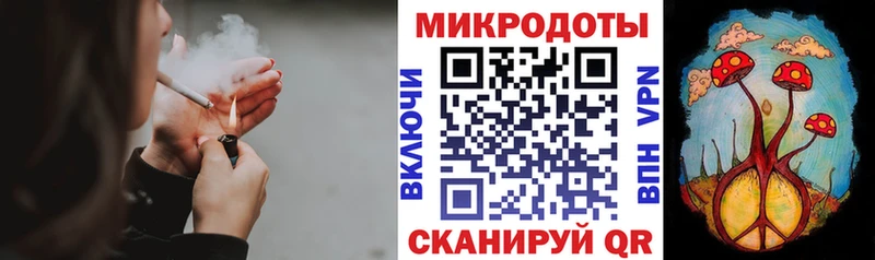 Галлюциногенные грибы Psilocybine cubensis Лаишево